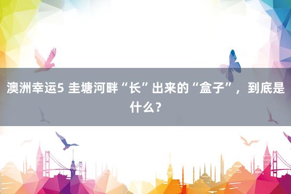 澳洲幸运5 圭塘河畔“长”出来的“盒子”，到底是什么？