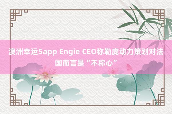 澳洲幸运5app Engie CEO称勒庞动力策划对法国而言是“不称心”