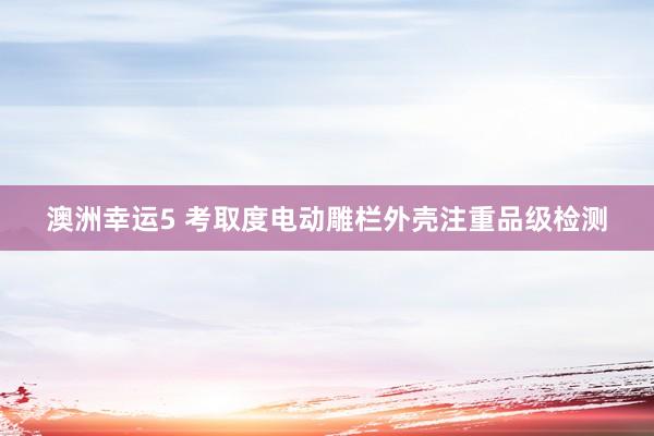 澳洲幸运5 考取度电动雕栏外壳注重品级检测