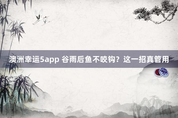 澳洲幸运5app 谷雨后鱼不咬钩？这一招真管用