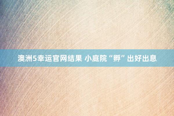 澳洲5幸运官网结果 小庭院“孵”出好出息