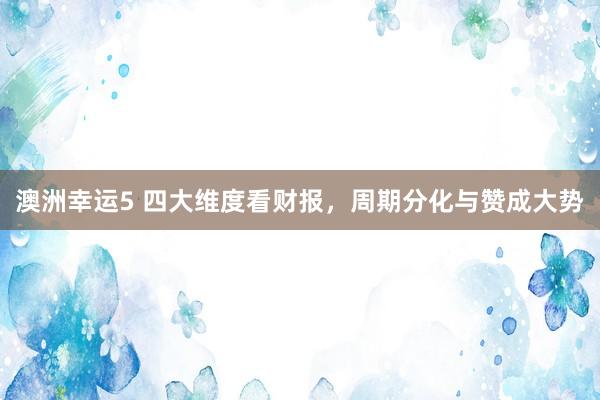 澳洲幸运5 四大维度看财报，周期分化与赞成大势
